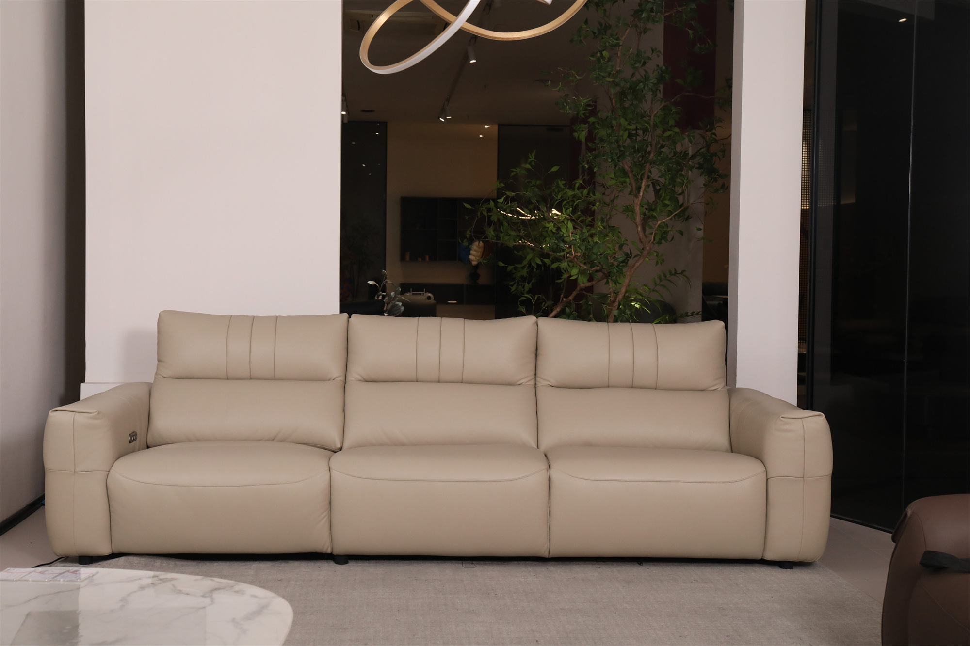 G6108功能沙发_(2)