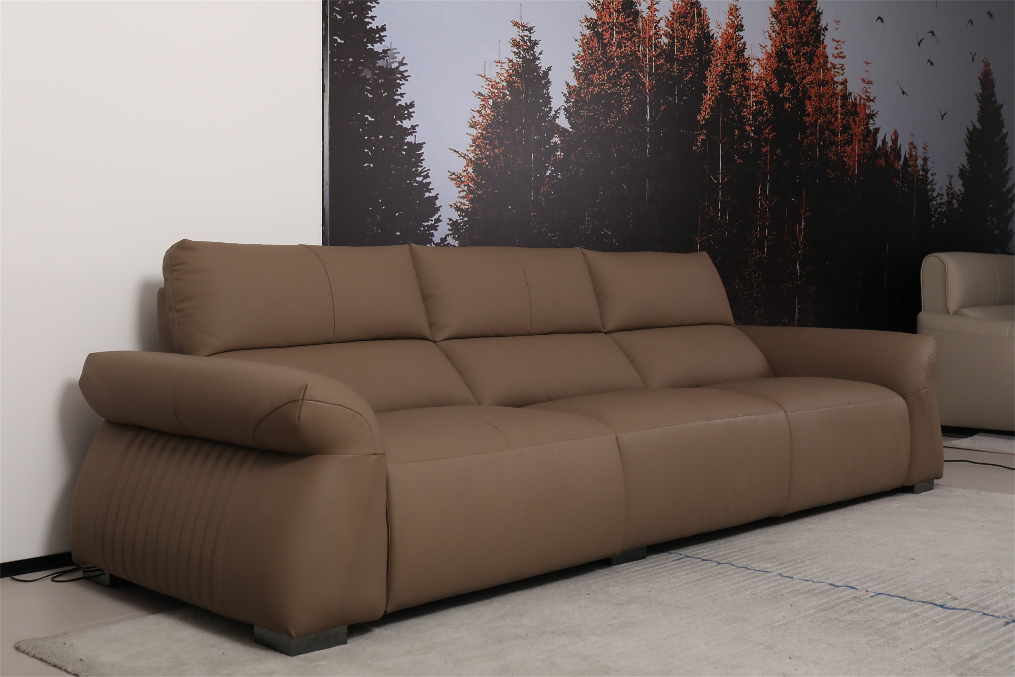 G6110功能沙发_(4)