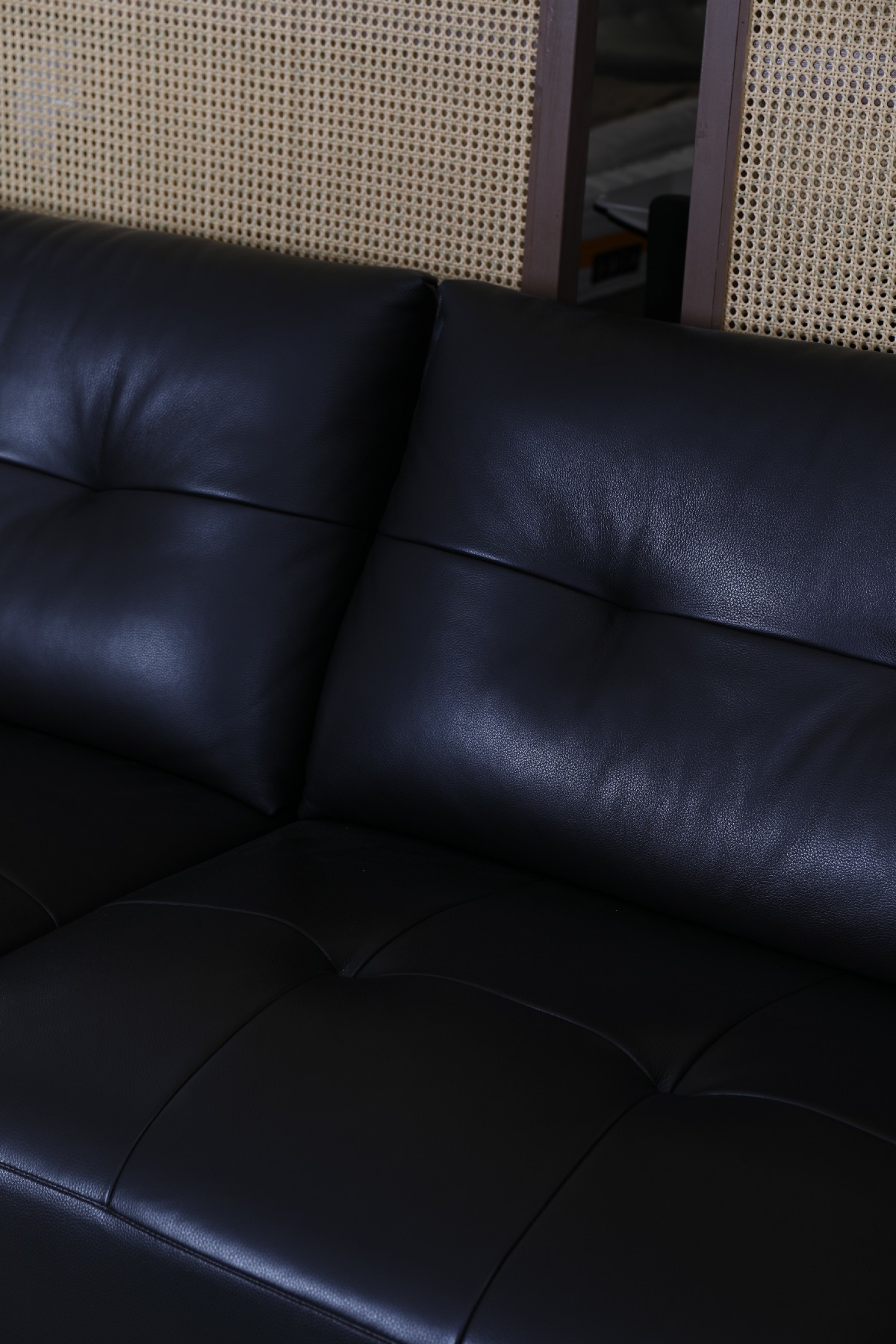 LSP3015-B沙发_(5)~1